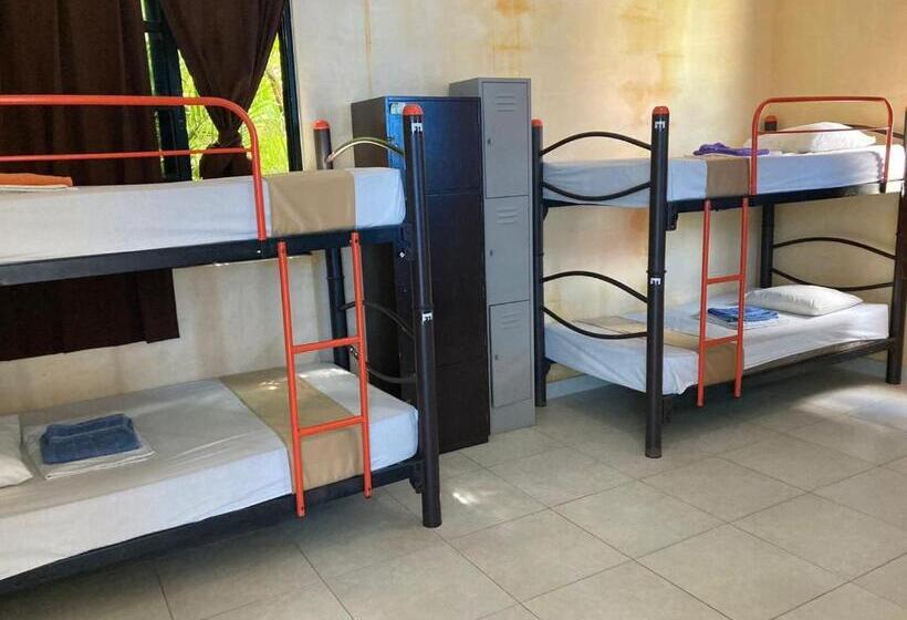 فندق صغير Hostal La Ermita