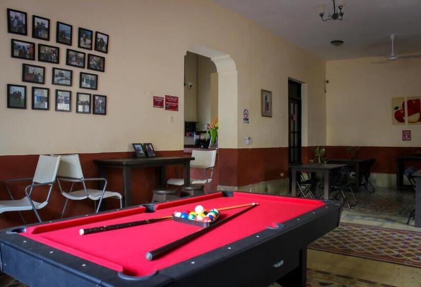 فندق صغير Hostal La Ermita