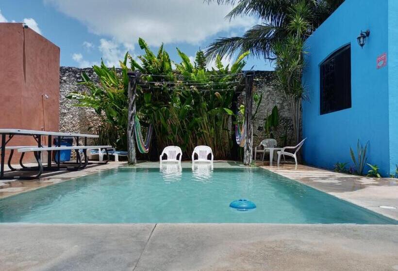 فندق صغير Hostal La Ermita