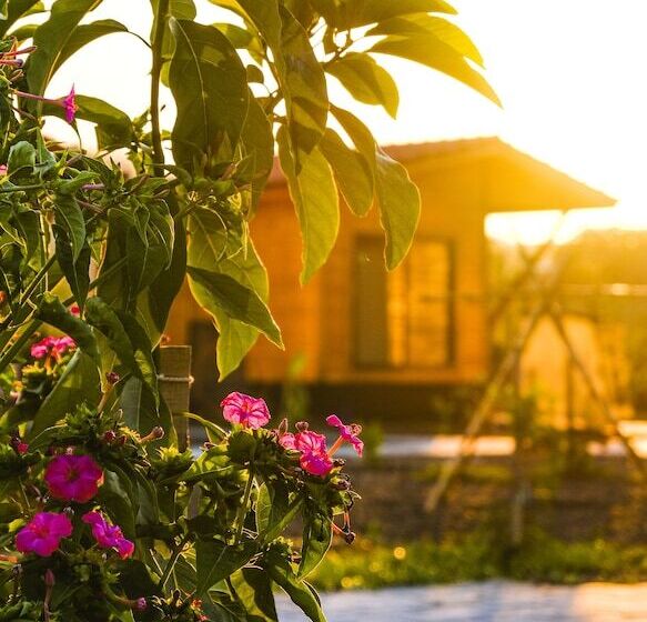 تختخواب و صبحانه Lemon Garden Lodge