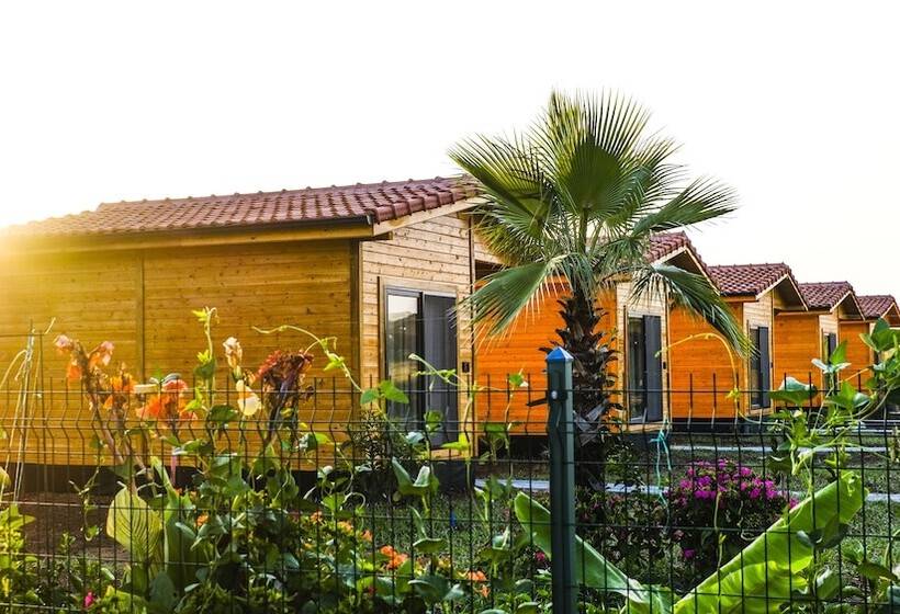 تختخواب و صبحانه Lemon Garden Lodge