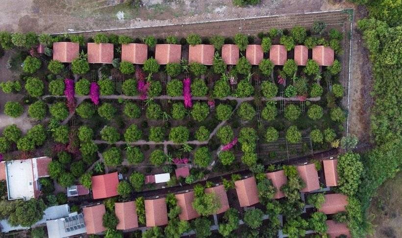 تختخواب و صبحانه Lemon Garden Lodge