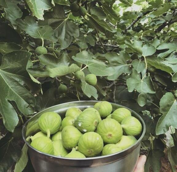 هتل Descanso Las Tres Marias Apart