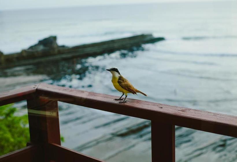 هتل Magnific Rock   Surf Resort & Yoga Retreat Nicaragua