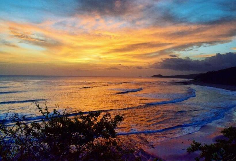 هتل Magnific Rock   Surf Resort & Yoga Retreat Nicaragua
