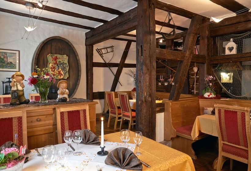 Отель & Restaurant Zum Karpfen