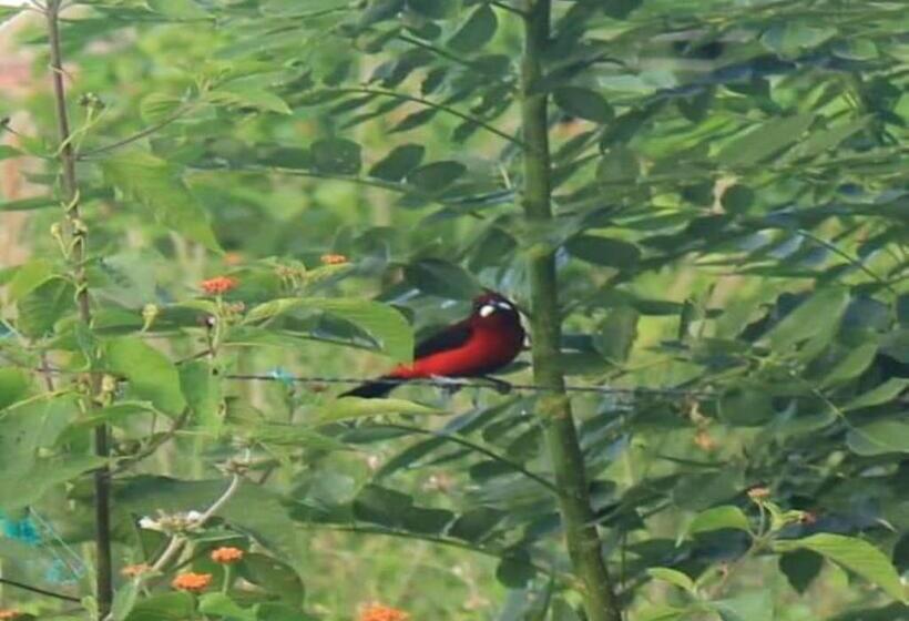 La Natura Hostel & Pool