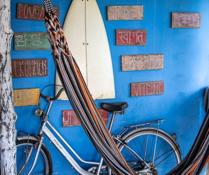 Twin Fin Hostels