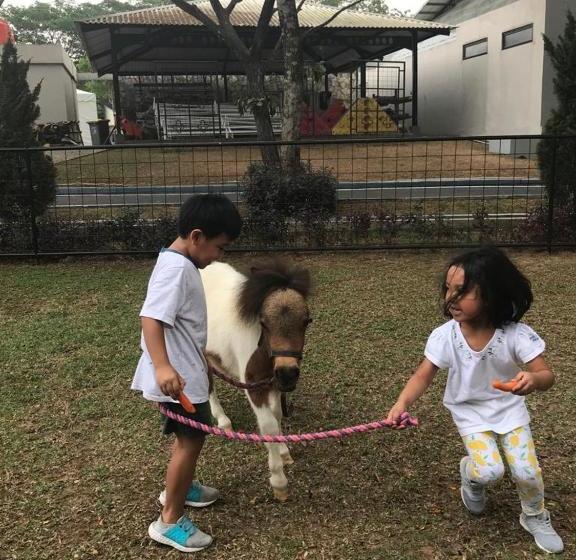 Apm Equestrian Resort