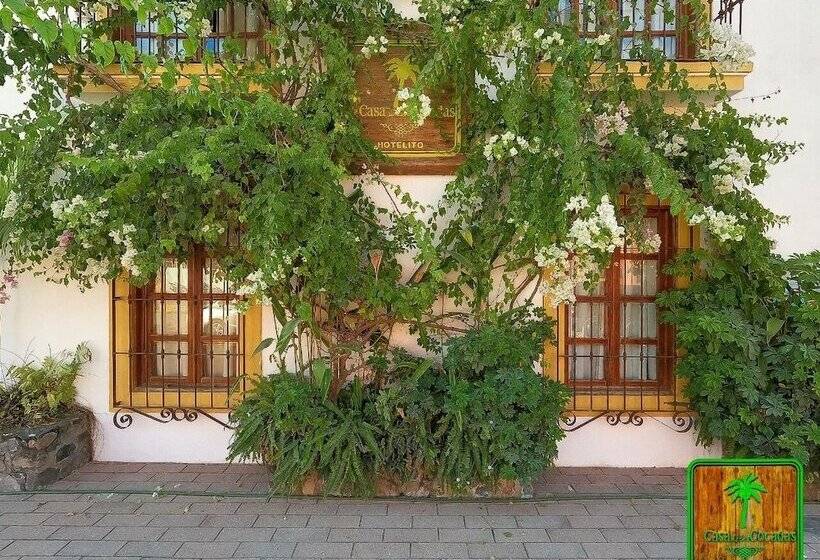 فندق La Casa De Las Cocadas
