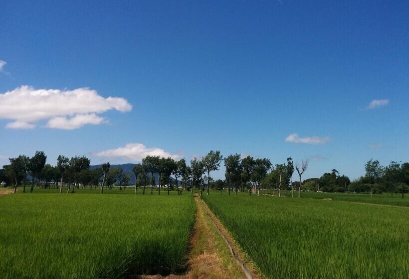 Iwamuro Slow Hostel