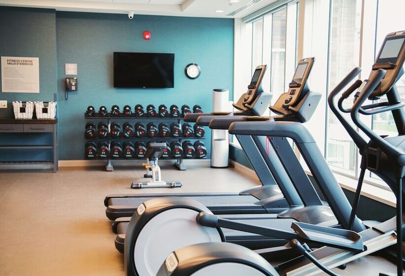 هتل Hilton Garden Inn Fredericton