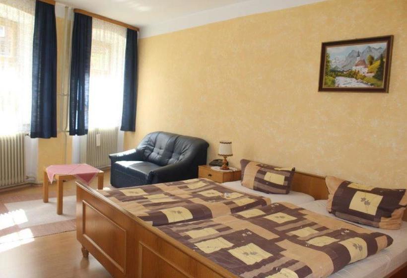 ホテル Fränkischer Hof Garni