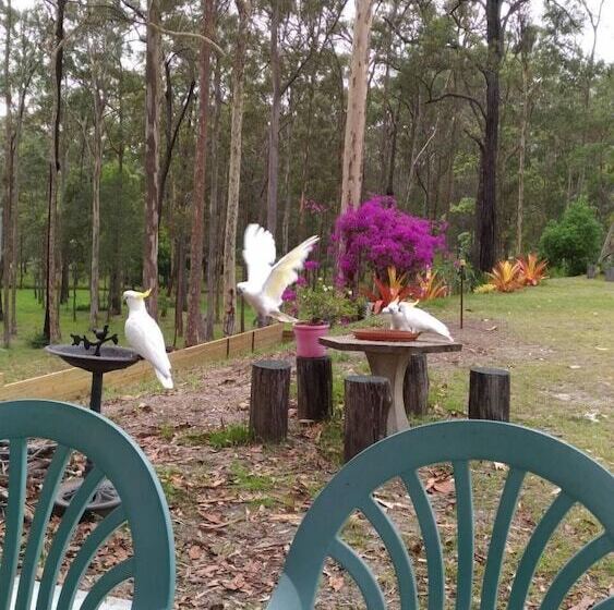 渡假胜地  Springwood Meditation Centre 春木禪修渡假中心