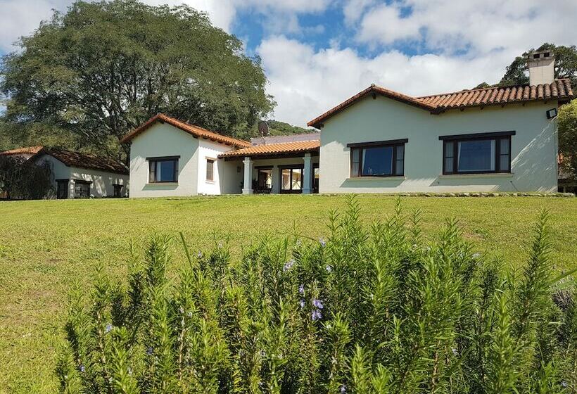 تختخواب و صبحانه Torrontes