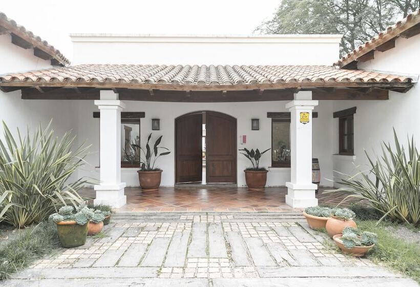 تختخواب و صبحانه Torrontes