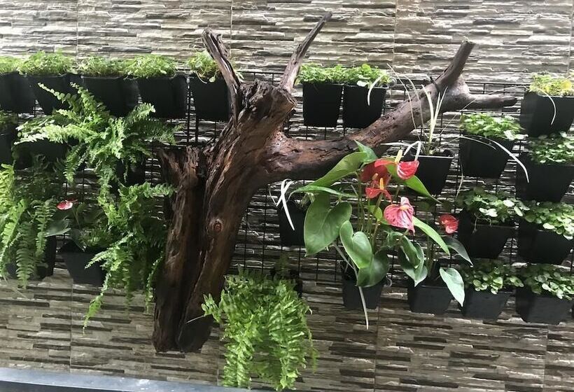 تختخواب و صبحانه Yuan Places