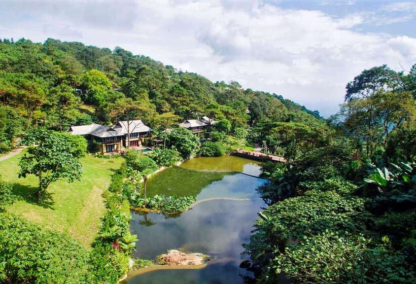 渡假胜地  Melia Bavi Mountain Retreat