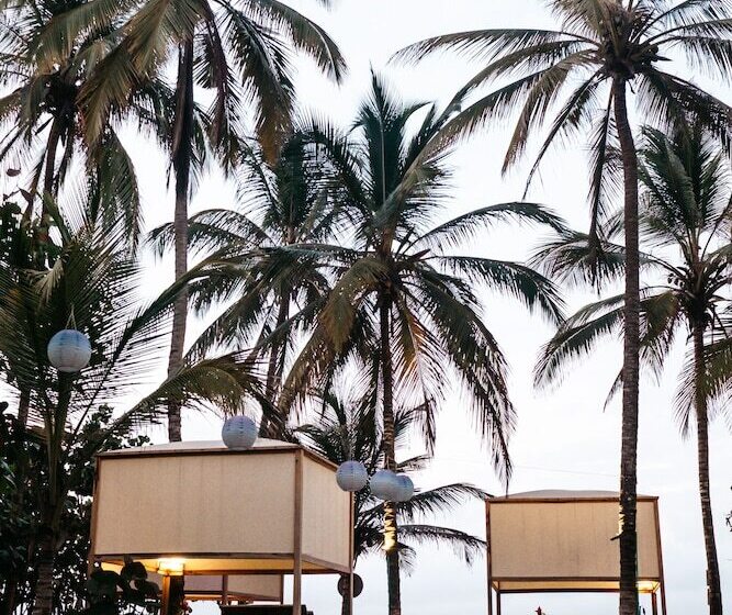 هاستل Casa Del Pavo Real Boutique