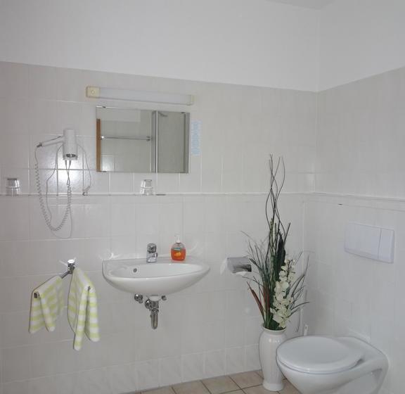 호텔 & Gasthof Zum Löwen