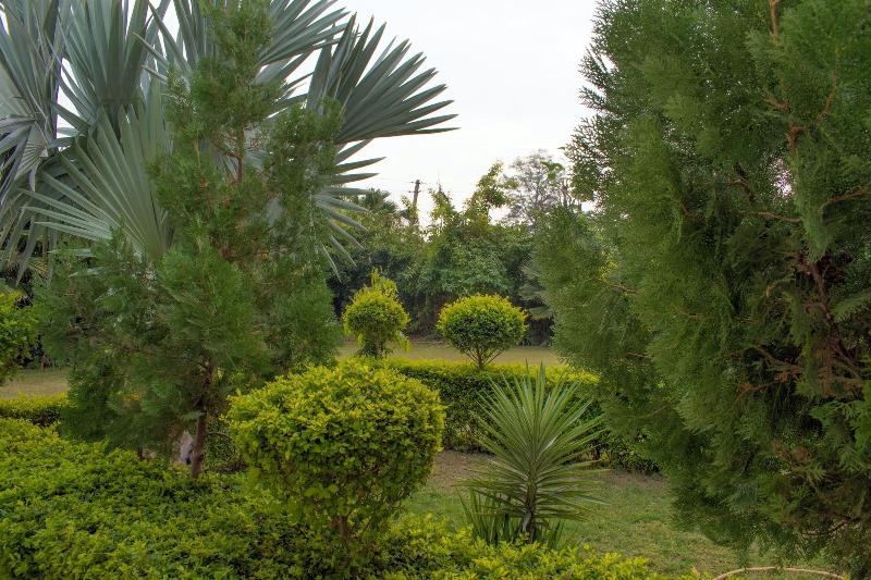 فندق Winsome Resort & Spa