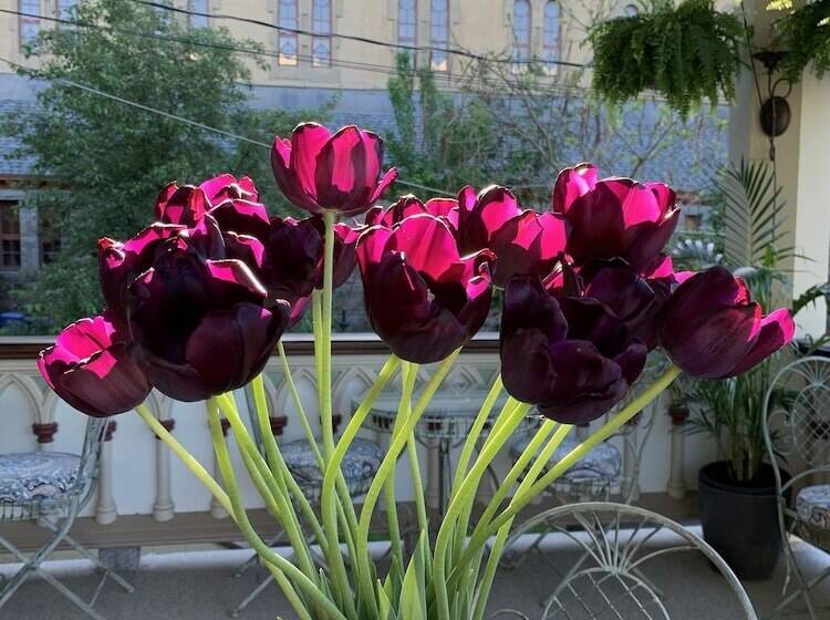 호텔 Manoir Chamberland