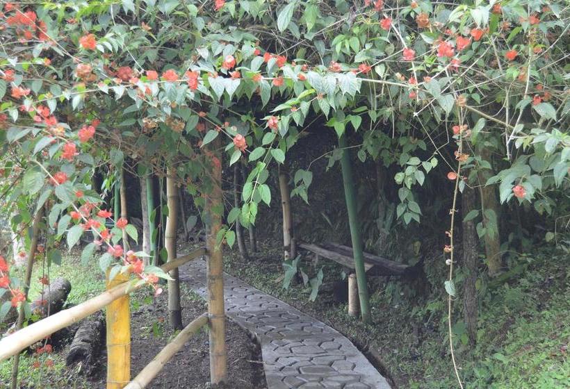 هتل Hospedaje Ecoturístico Villa Carolina