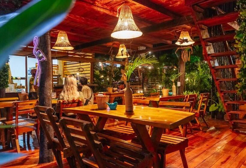 El Zoo Hostel, Bar & Pool