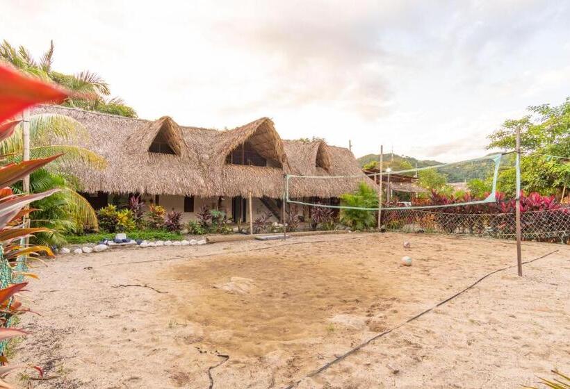 El Zoo Hostel, Bar & Pool