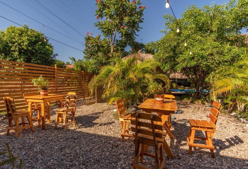 El Zoo Hostel, Bar & Pool