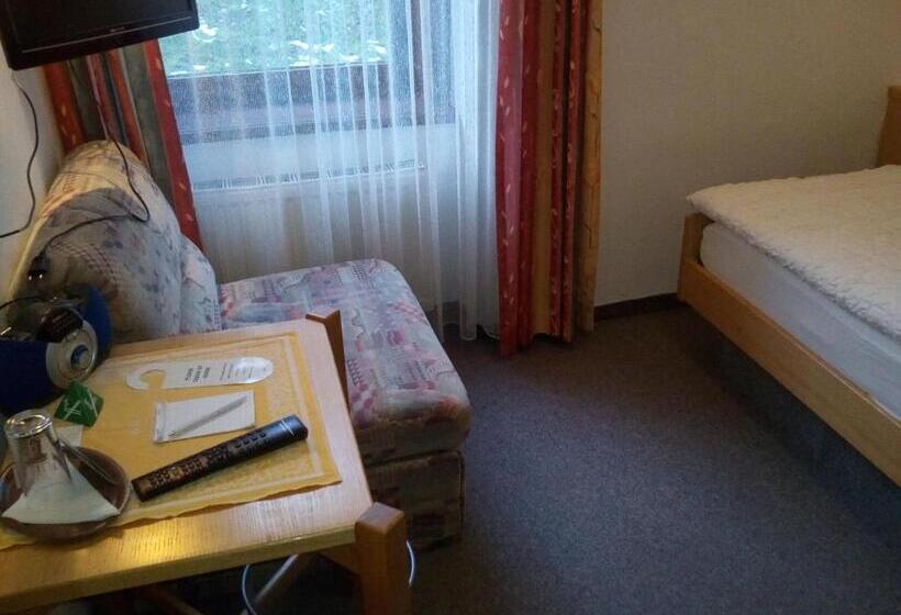 בית מלון כפרי Zum Goldenen Hirschen