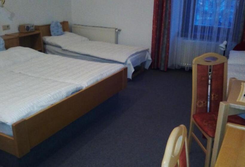 בית מלון כפרי Zum Goldenen Hirschen