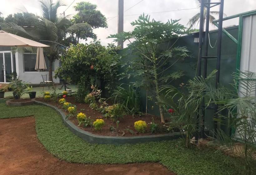 Ivory Monarch  Hotel & Resort