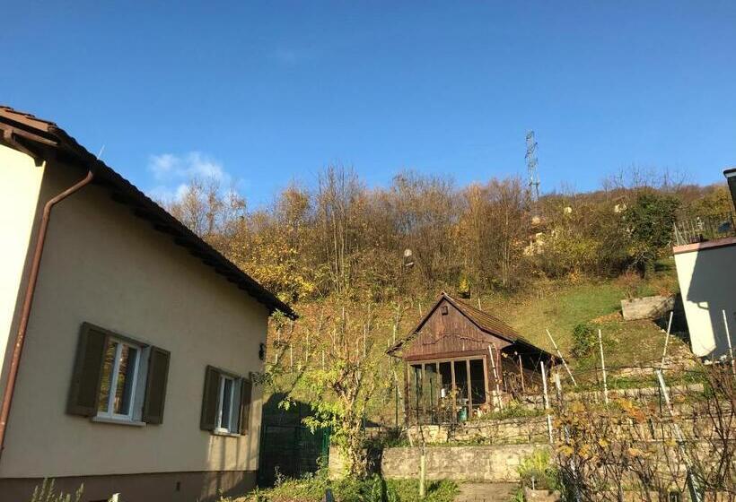 צימר Bed N Breakfast Obermumpf