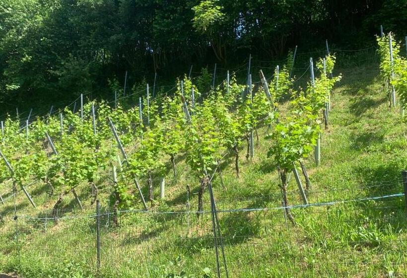 צימר Bed N Breakfast Obermumpf