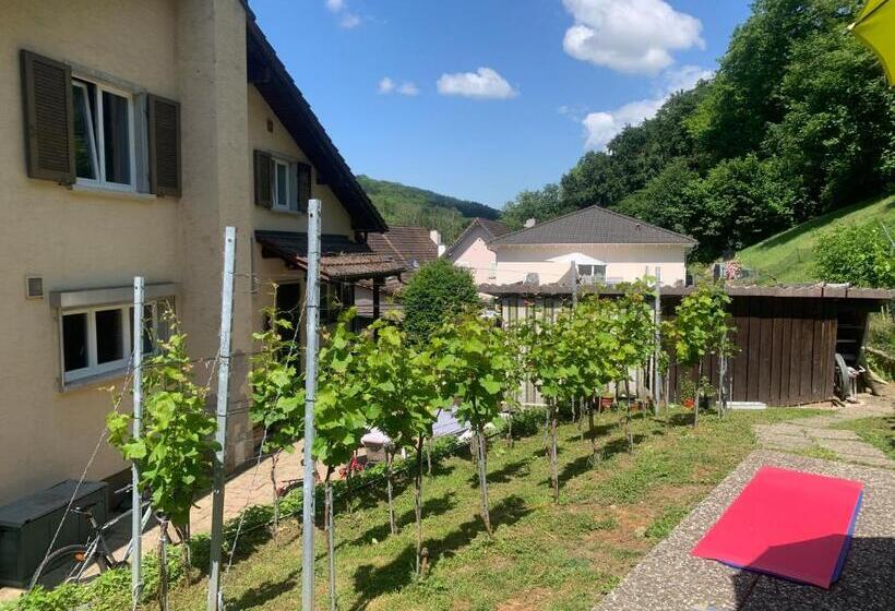 צימר Bed N Breakfast Obermumpf