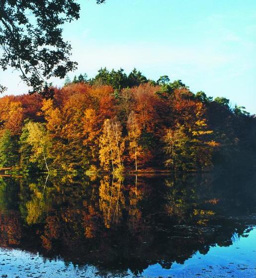 ホテル Seminar & Gästehaus Burghof Stauf