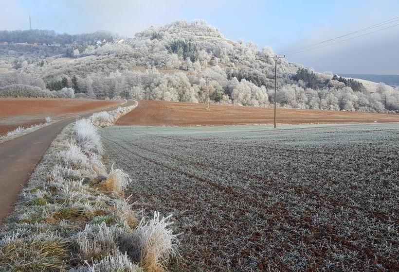 ホテル Seminar & Gästehaus Burghof Stauf