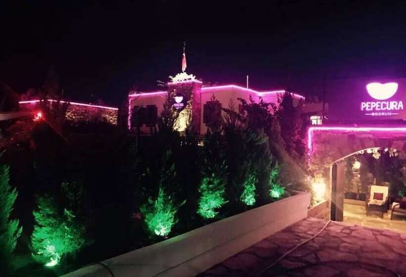 בית מלון כפרי Wish Suites Bodrum