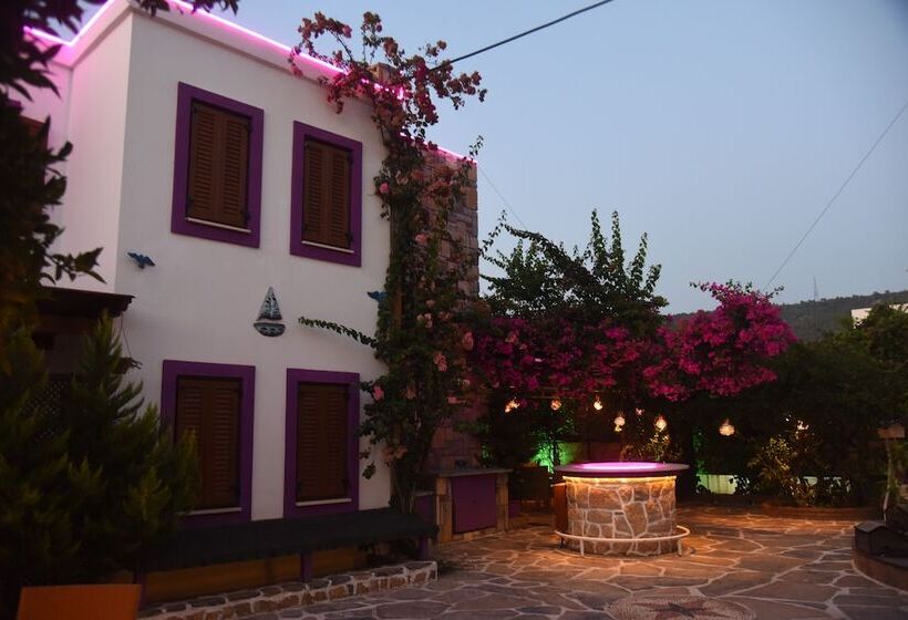 בית מלון כפרי Wish Suites Bodrum