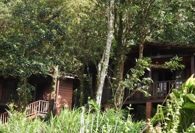הוסטל Heliconias Rainforest Lodge