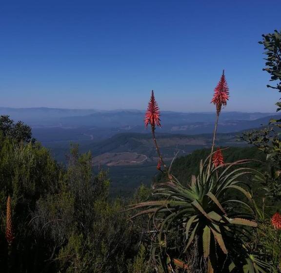 צימר Kattekwaad Accommodation