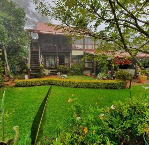 צימר Kattekwaad Accommodation