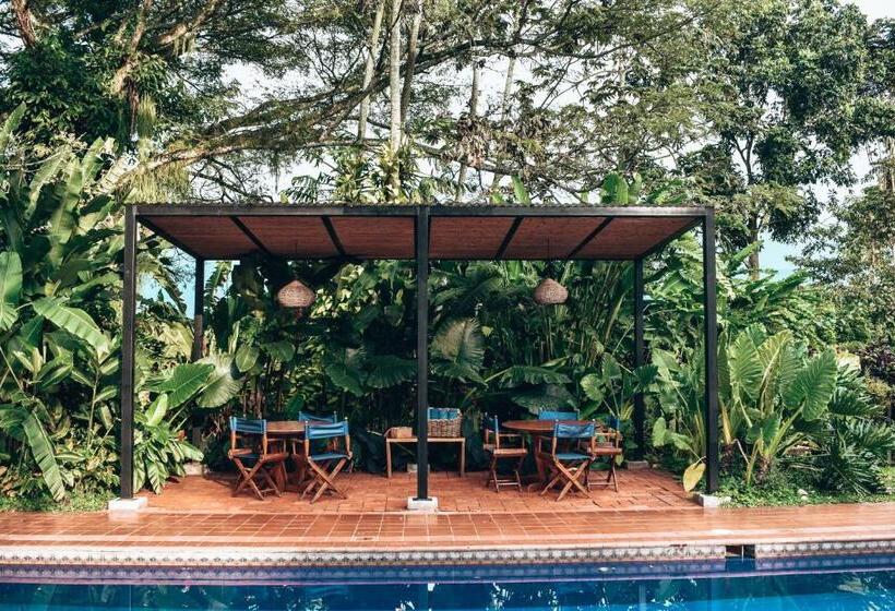 هتل Hacienda Bambusa