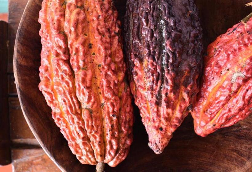 هتل Hacienda Bambusa