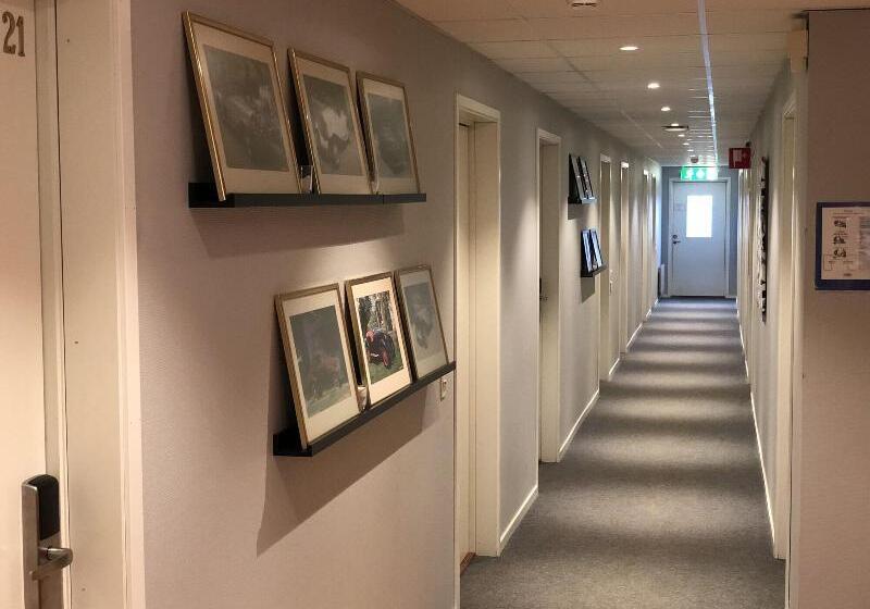 מוטל Rasta Falkoping