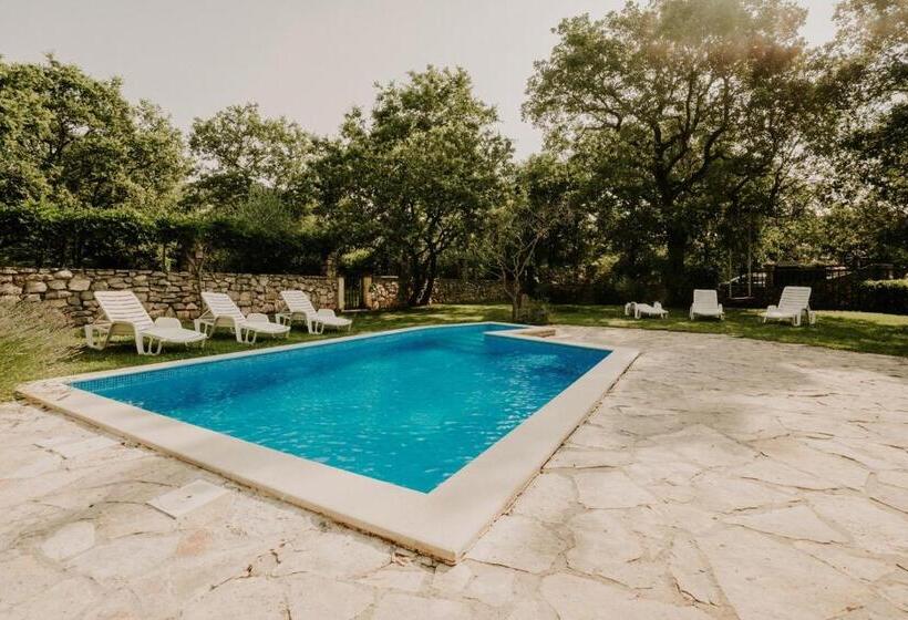 ホテル Bed And Breakfast Kolo Adults Only