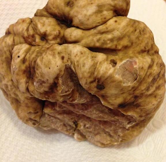 בית מלון כפרי L' Anfora