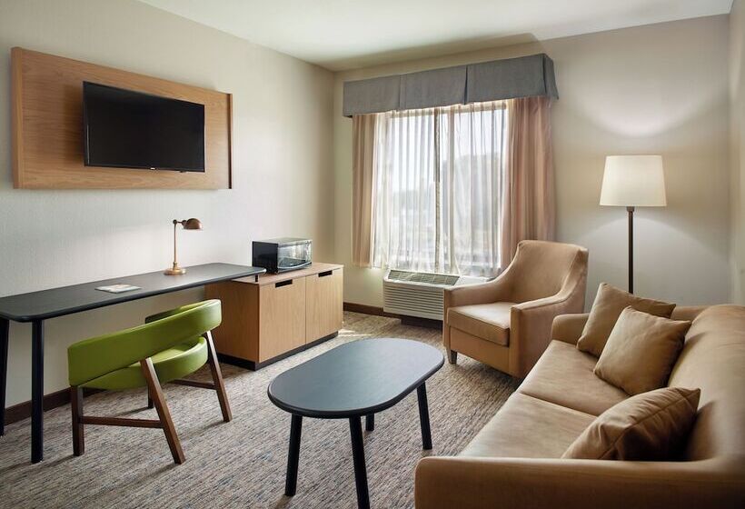 فندق Fairfield Inn & Suites By Marriott Asheville Airport/fletcher