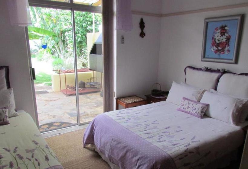 Fotos del hotel Stemar Self Catering:  7